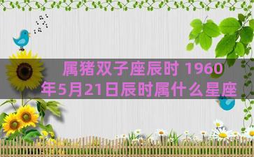 属猪双子座辰时 1960年5月21日辰时属什么星座
